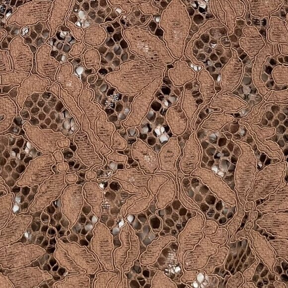 Rag & Bone Yvette Lace Button Down Shirt in Mocha Size 2 - Picture 3 of 4